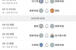 开云下载-布莱顿外战击败水晶宫，提升积分榜排名的简单介绍