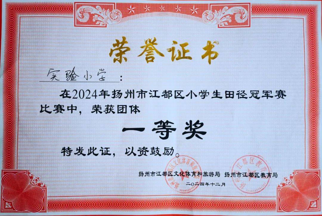 包含队伍合力争胜，终获团体项目冠军的词条